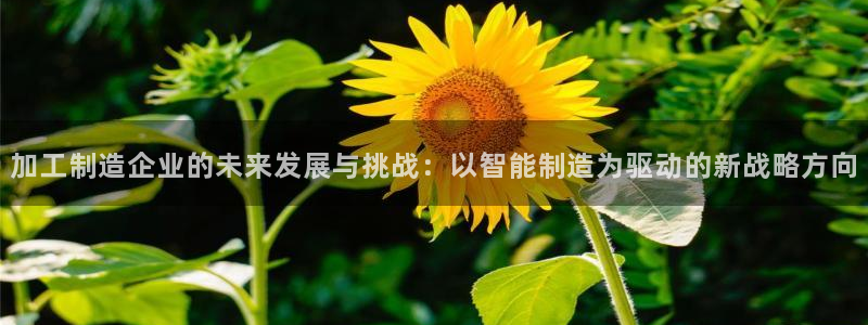 万事娱乐首页入口网址