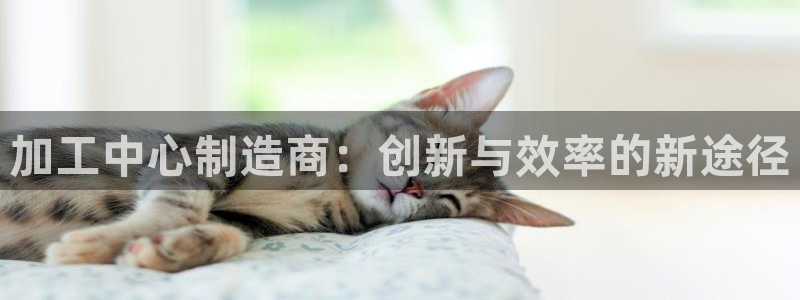 万事2娱乐注册