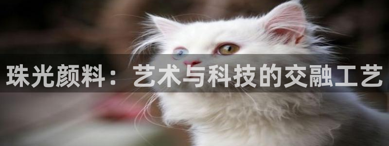 万事看娱乐