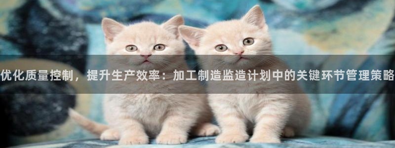 万事娱乐主管薪资待遇