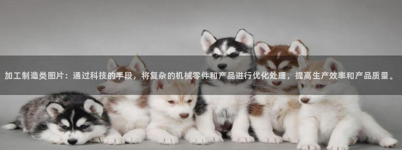 万事娱乐云端下载