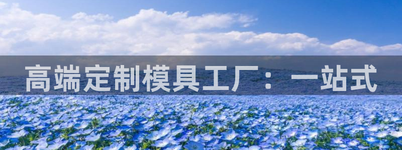 万事娱乐平台登录入口